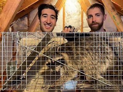 Washington DC pest control